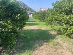 Land For Sale in Dalyan Nbh. Ortaca - Housing Zoned - 722 m²