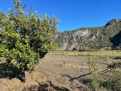 Field For Sale in Dalyan Nbh. Ortaca - Field Zoned - 6.600 m²