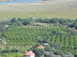 Field For Sale in Çandır Nbh. Köyceğiz - Field Zoned - 1.252 m²