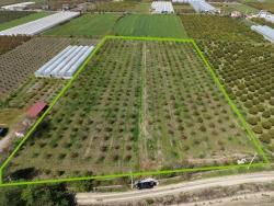 Field For Sale in Eskiköy Nbh. Ortaca - Field Zoned - 16.000 m²