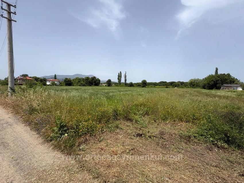 Земля 2390M2 На Продажу В Окчулар, Мармарис