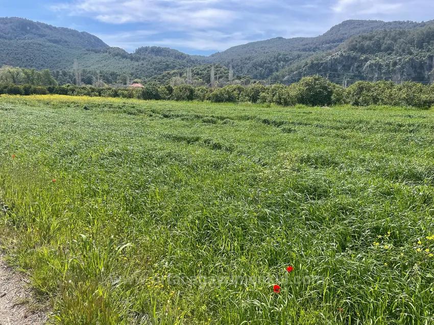 В Окчуларе 736M2 Общая Площадь 250M2 Строительная Разрешение Имеется Продается Земельный Участок
