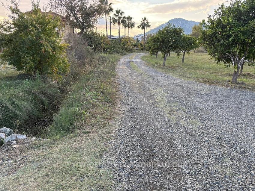 В Дальяне Продается Земельный Участок Площадью 7450 М² С Зонированием 5%.