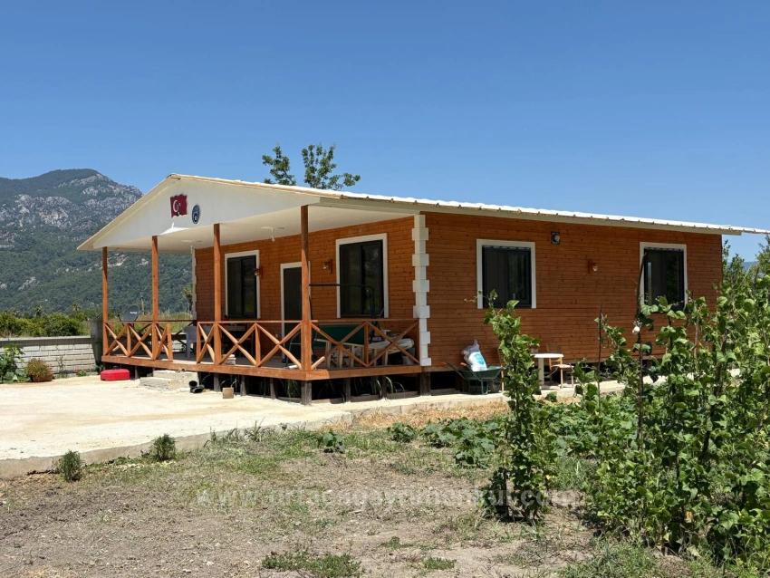 Отдельно Стоящий Деревянный Дом Площадью 120 М² На Участке Площадью 2500 М² В Районе Дальян Карадаг.