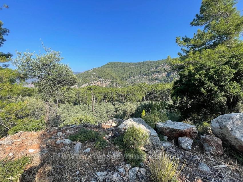 Выгодная Земля На Продажу С Видом На Море В Районе Экинджик-Чандыр.