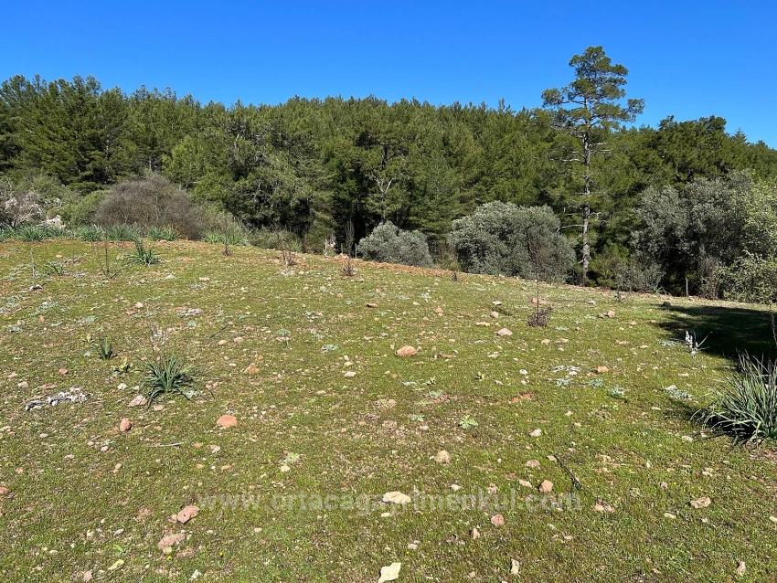 Продается Земельный Участок В Гёкбеле, В Окружении Природы И Леса.