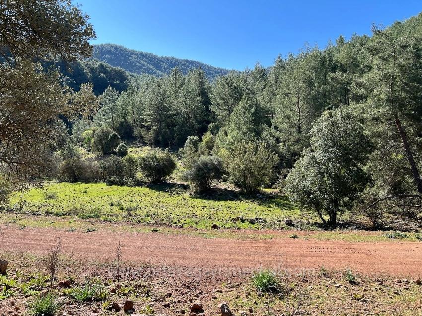 Продается Земельный Участок В Гёкбеле, В Окружении Природы И Леса.