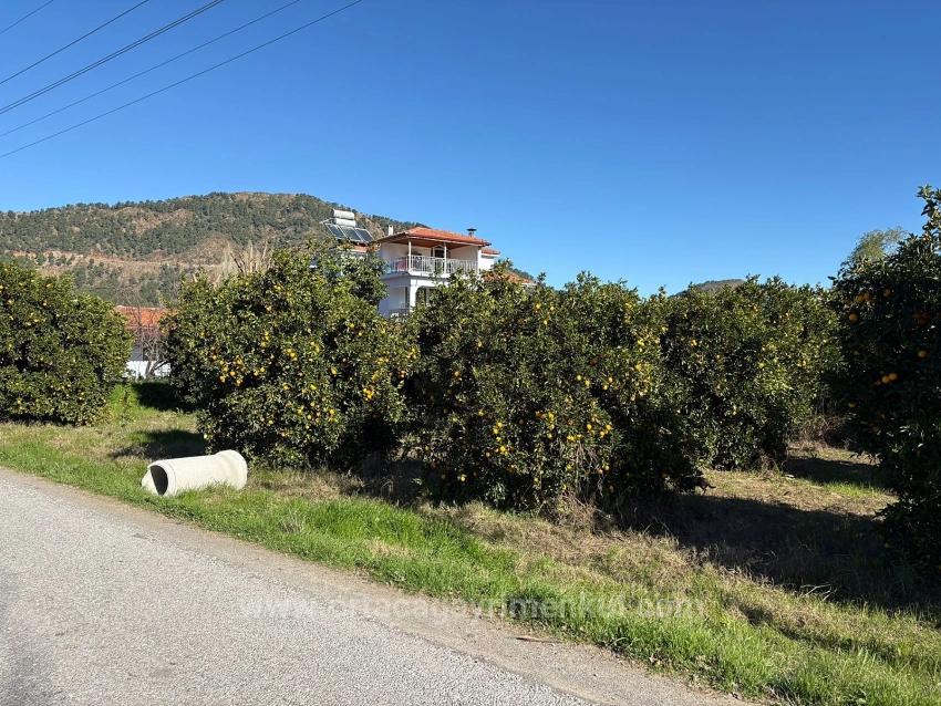 Продается Земельный Участок В Экшилиюрте, С Разрешением На Застройку, Площадью 1085 М2.