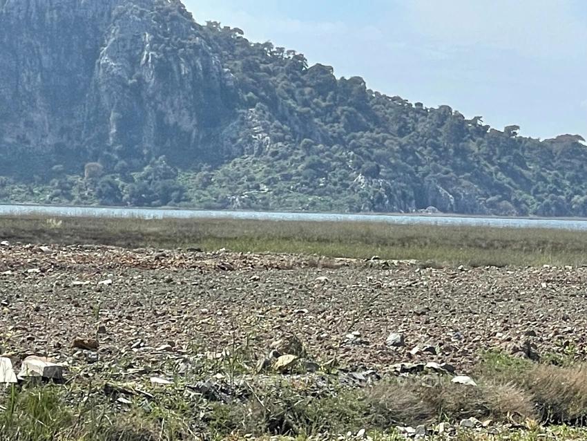 Продается Земельный Участок Площадью 19 600 М², Расположенный Непосредственно На Дороге К Пляжу Далян-Истузу.