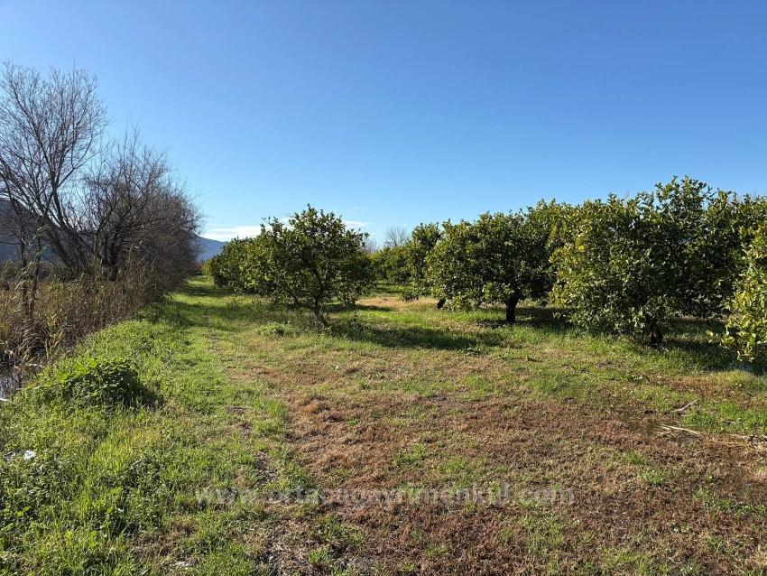 Для Продажи Поле в Dalyan Ortaca - Под Поле застройку - 16.500 m²