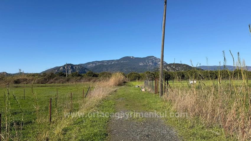 Земля 509M2 На Продажу В Окчуларе