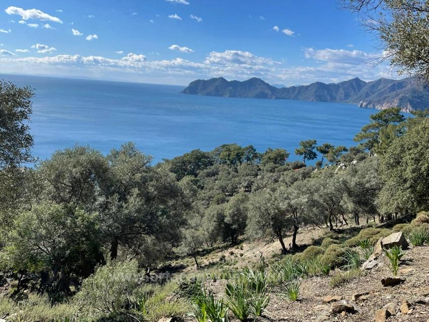 Чандыр 20.000M2 2B С Полным Видом На Море На Продажу