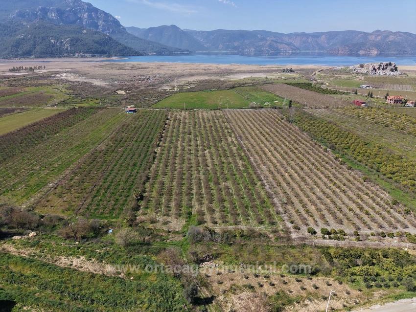 Для Продажи Поле в Eskiköy Ortaca - Под Поле застройку - 16.710 m²
