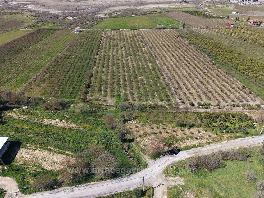 Гранатовый Сад Площадью 16.710 М2 На Продажу С Видом На Озеро В Эскикёй