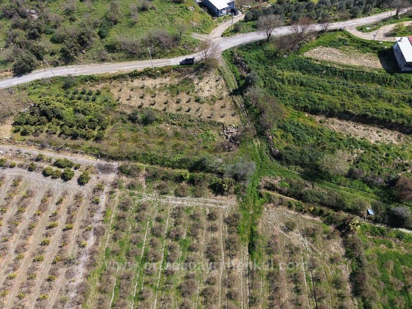 Гранатовый Сад Площадью 16.710 М2 На Продажу С Видом На Озеро В Эскикёй