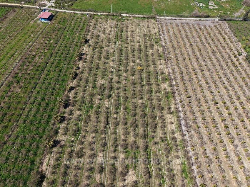 Гранатовый Сад Площадью 16.710 М2 На Продажу С Видом На Озеро В Эскикёй