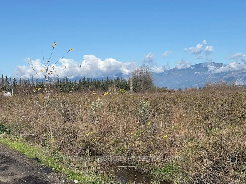 Продается Отдельно Стоящий Земельный Участок Площадью 23 000 М² В Тепеарасы.