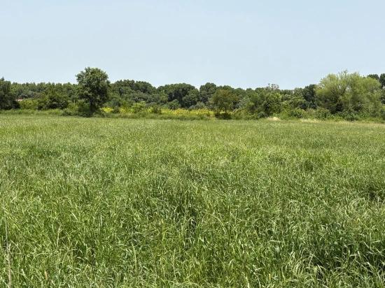 Земля 2390M2 На Продажу В Окчулар, Мармарис