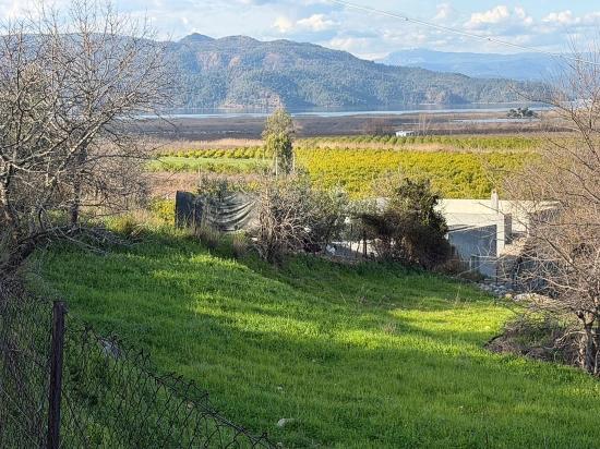 В Дальяне Продается Земельный Участок Площадью 11 230 М² С Видом На Озеро.