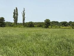 Продается Земельный Участок Площадью 2100 М2 В Окчуларе, Мармарис.