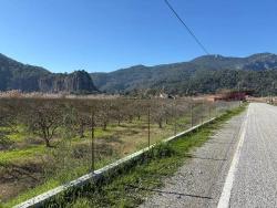 Для Продажи Сюжет в Dalyan Ortaca - Под Жилье застройку - 5.985 m²