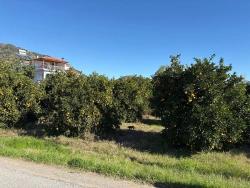 Для Продажи Сюжет в Ekşiliyurt Ortaca - Под Жилье застройку - 1.085 m²