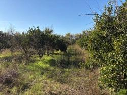 Для Продажи Поле в Dalyan Ortaca - Под Поле застройку - 4.541 m²