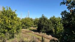 Для Продажи Сюжет в Okçular Ortaca - Под Жилье застройку - 2.218 m²