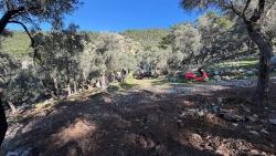 Для Продажи Поле в Çandır Köyceğiz - Под Жилье застройку - 5.715 m²