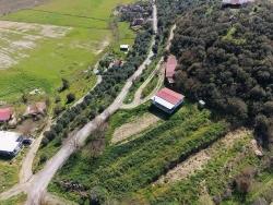 Для Продажи Поле в Eskiköy Ortaca - Под Поле застройку - 16.710 m²