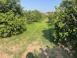 Для Продажи Сюжет в Dalyan Ortaca - Под Жилье застройку - 722 m²