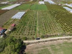 Для Продажи Поле в Eskiköy Ortaca - Под Поле застройку - 16.000 m²