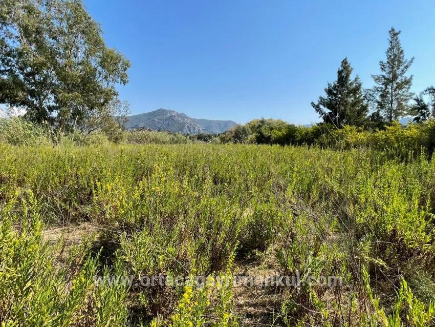 Для Продажи Семейный Дом 1+0 в Çandır Köyceğiz - 2.765 m²