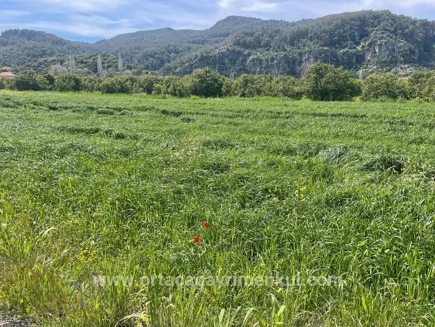 Для Продажи Сюжет в Okçular Ortaca - Под Жилье застройку - 736 m²