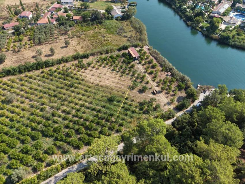 Для Продажи Поле в Çandır Köyceğiz - Под Поле застройку - 20.000 m²