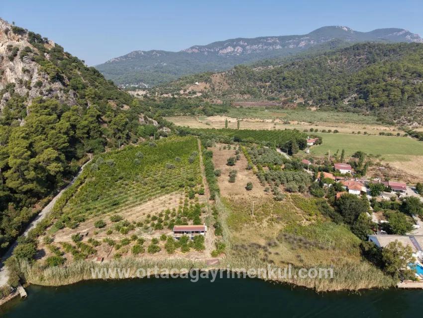 Для Продажи Поле в Çandır Köyceğiz - Под Поле застройку - 20.000 m²