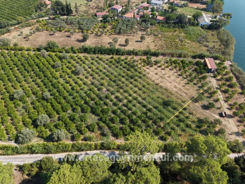Для Продажи Поле в Çandır Köyceğiz - Под Поле застройку - 20.000 m²