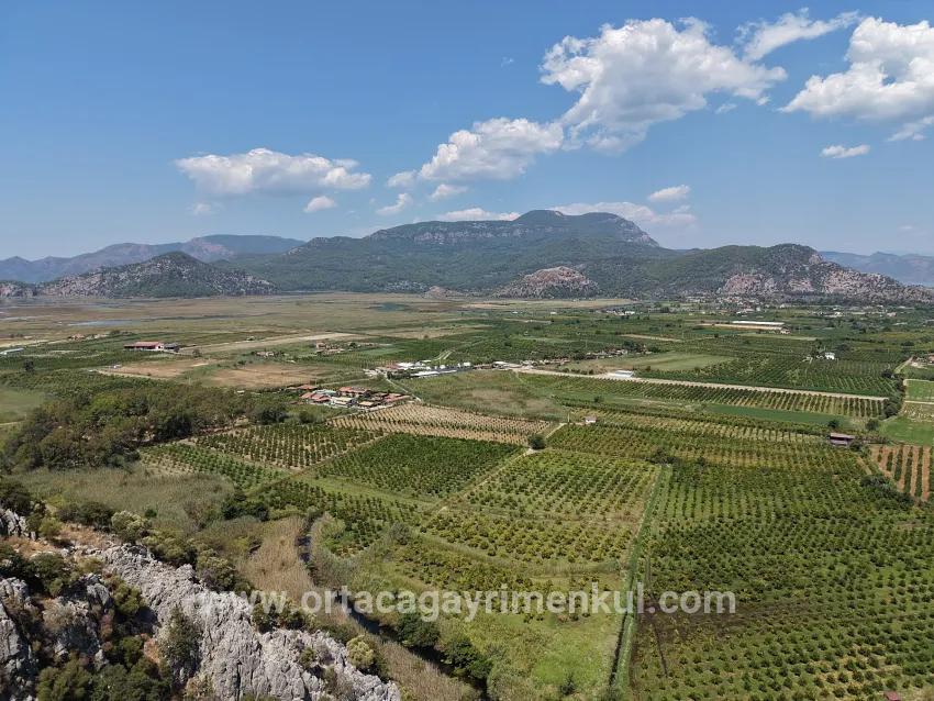 Для Продажи Поле в Dalyan Ortaca - Под Поле застройку - 20.786 m²