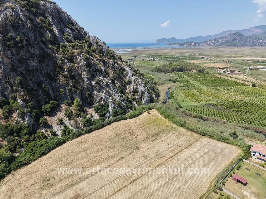 Для Продажи Поле в Dalyan Ortaca - Под Поле застройку - 20.786 m²