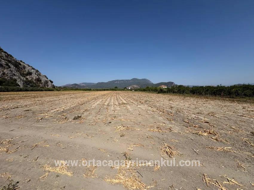 Для Продажи Поле в Dalyan Ortaca - Под Поле застройку - 20.786 m²