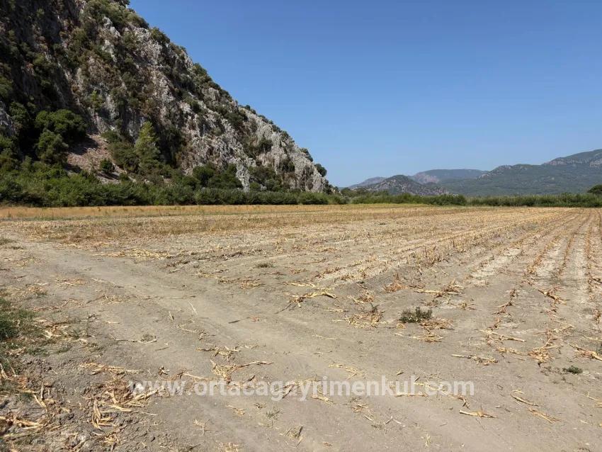 Для Продажи Поле в Dalyan Ortaca - Под Поле застройку - 20.786 m²