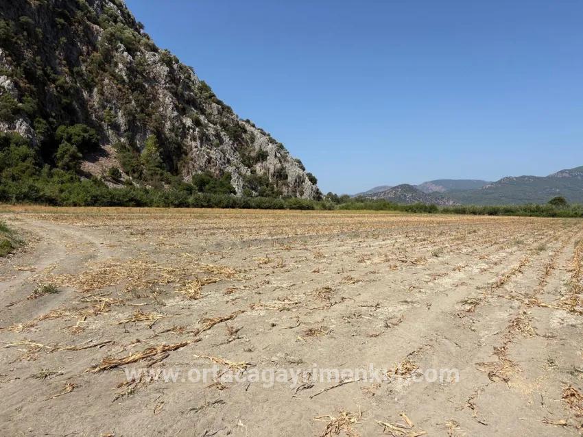 Для Продажи Поле в Dalyan Ortaca - Под Поле застройку - 20.786 m²