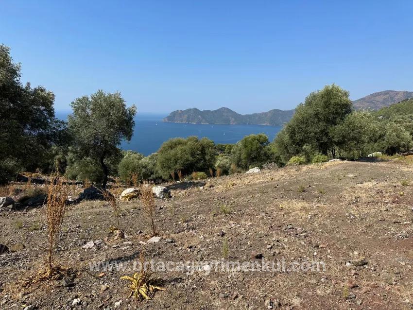 Для Продажи Поле в Çandır Köyceğiz - Под Поле застройку - 21.000 m²