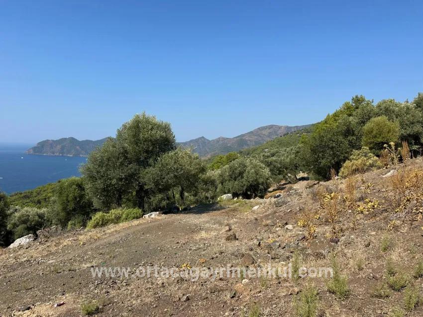 Для Продажи Поле в Çandır Köyceğiz - Под Поле застройку - 21.000 m²