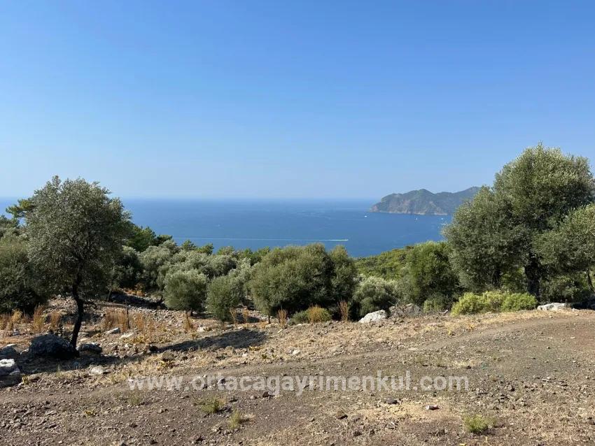 Для Продажи Поле в Çandır Köyceğiz - Под Поле застройку - 21.000 m²