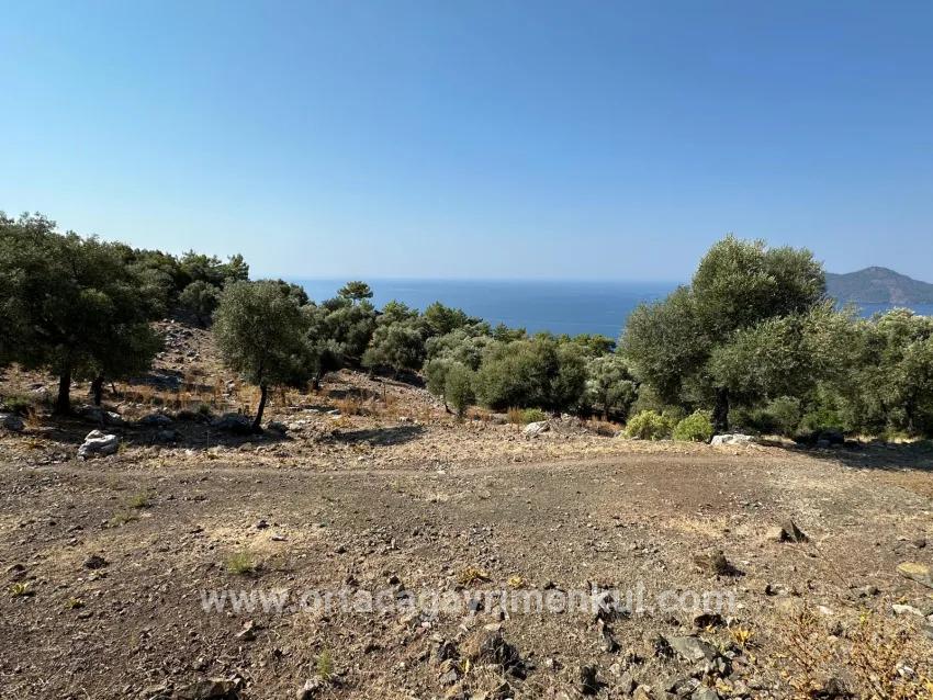 Для Продажи Поле в Çandır Köyceğiz - Под Поле застройку - 21.000 m²