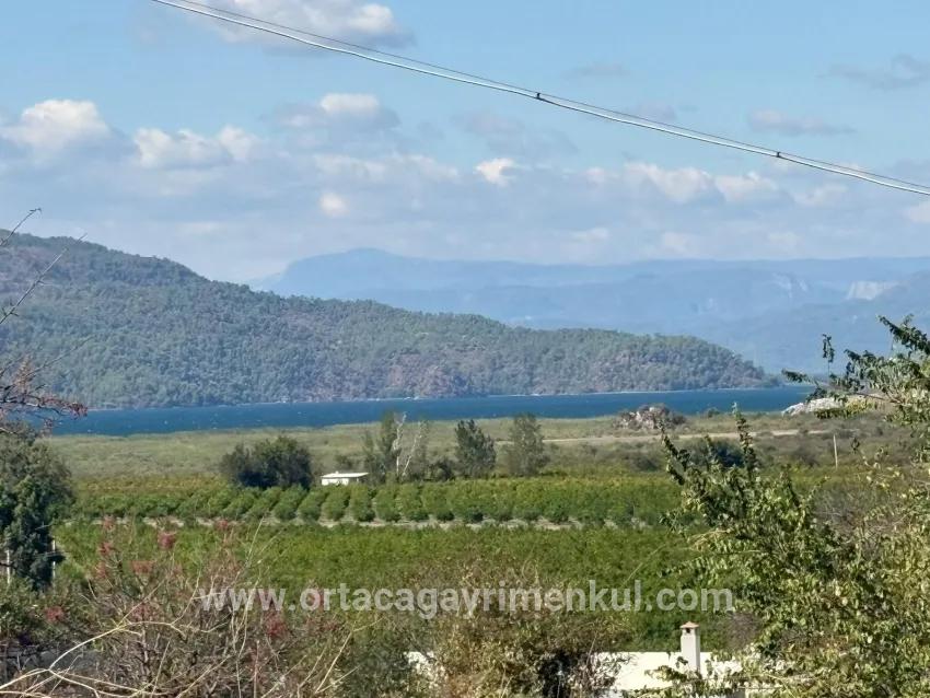 Для Продажи Поле в Dalyan Ortaca - Под Поле застройку - 5.000 m²