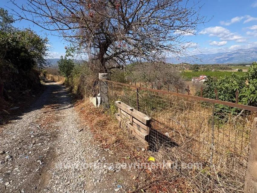 Для Продажи Поле в Dalyan Ortaca - Под Поле застройку - 5.000 m²