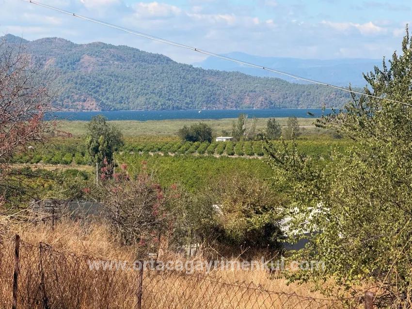 Для Продажи Поле в Dalyan Ortaca - Под Поле застройку - 5.000 m²