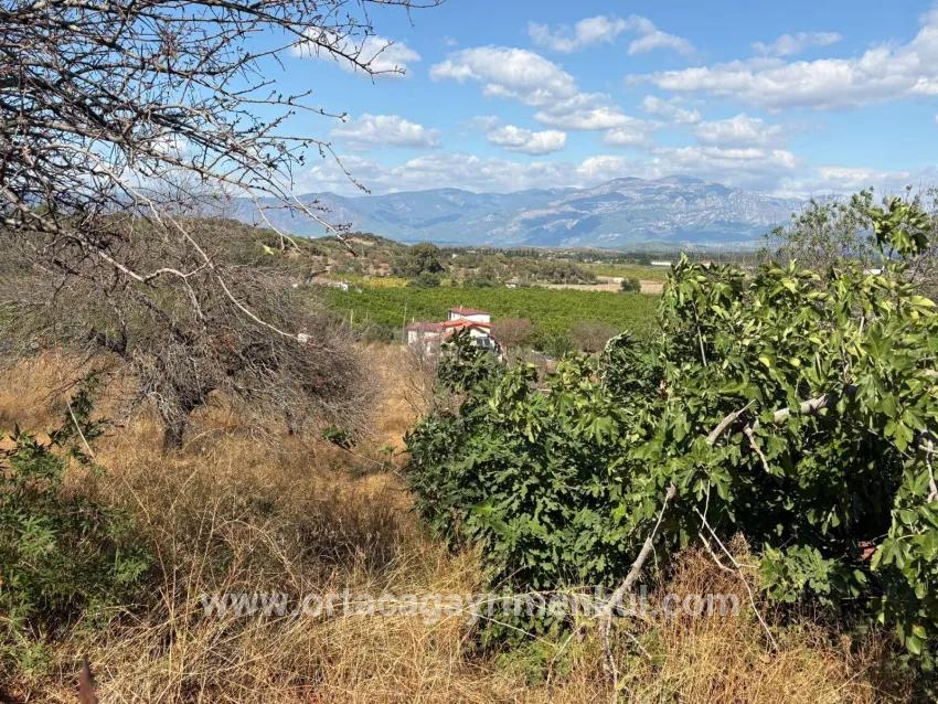 Для Продажи Поле в Dalyan Ortaca - Под Поле застройку - 5.000 m²
